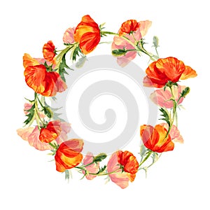 watercolor wreath of poppies, hand drawn circle frame with red field flowers, buds and leaves, summer illustration of