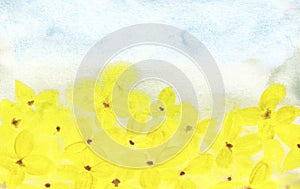 Watercolor yellow flowers on blue sky background for your text or image