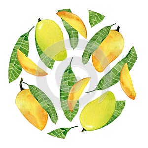 Watercolor yellow mango fruit badge isolated on white background