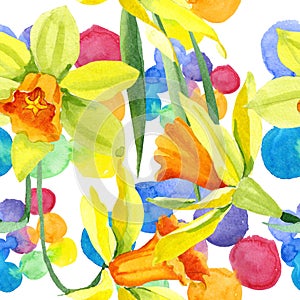 Watercolor yellow narcissus flower. Floral botanical flower. Seamless background pattern.