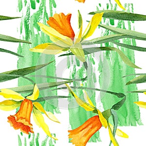 Watercolor yellow narcissus flower. Floral botanical flower. Seamless background pattern.