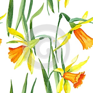 Watercolor yellow narcissus flower. Floral botanical flower. Seamless background pattern.