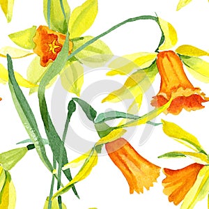 Watercolor yellow narcissus flower. Floral botanical flower. Seamless background pattern.