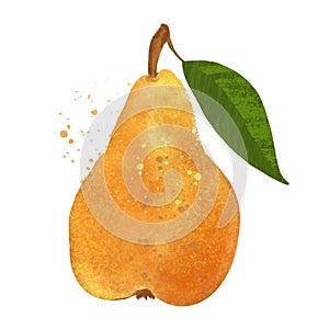 Watercolor yellow pear fruit whole with leaf closeup