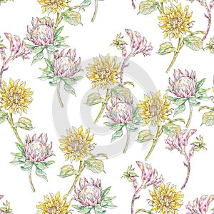 Watercolor yellow sunflower and pink protea anigozanthos isolated on white background. Handwork flowers draw. Seamless pattern