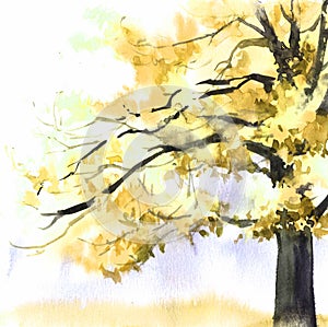 Watercolor yellow tree. Hand drawn illustration for card, postcard, cover, invitation, textile