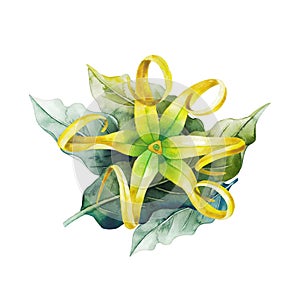 Watercolor ylang ylang