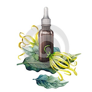 Watercolor ylang ylang oil