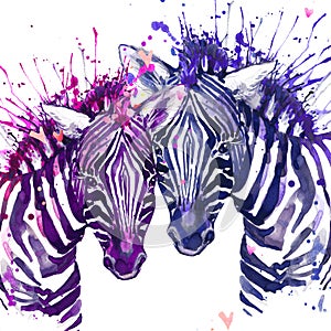 Watercolor zebra illustration. Cute zebra.