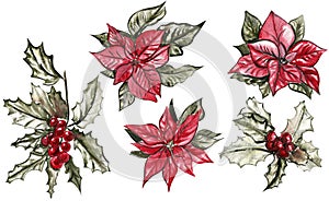 WatercolorCristmas Star watercolor flowers set clipart