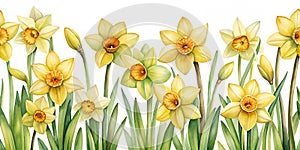 Watercolored Painted Illustration of Yellow Daffodil Plants Seamless Pattern Generative AI photo