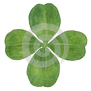 Watercolorlucky four-leaf clover isolated on white background