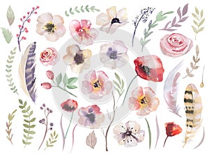 Watercolour boho set of flowers. Flloral vintage collection photo