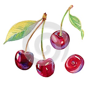 Watercolour cherry illustration. Hand drawn cherries set. Fresh sweet and tasty cherries. Bright and fresh illustration