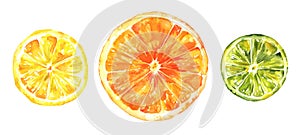 Watercolour citrus fruits, lemon, orange and lime, hand drawing, isolated on white