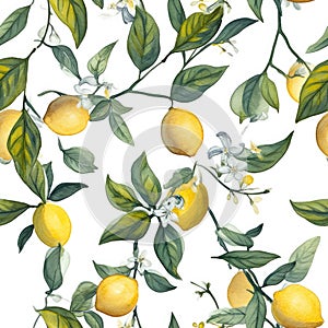 Watercolour coloured seamless pattern with lemons on white background. Fruits, flowers and leaves. Pastel colours.