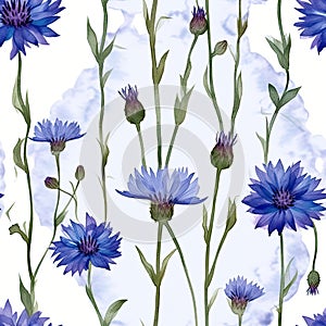 Watercolour coloured seamless pattern on white background. Cornflowers. Flowers and leaves. Pastel colours.