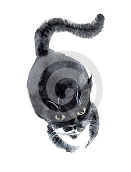 Watercolour Cute Black Cat Painting Illustration