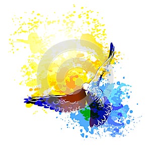 Watercolour doves birds flying, colourful vector painting. Birds flight