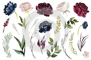 Watercolour floral illustration set. DIY flower elements collection - perfect for flower bouquets, wreaths, arrangements, wedding