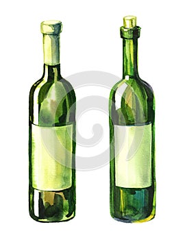 Acquerello illustrazioni da 2 bottiglie di vino 