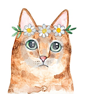 Watercolour illustration of beautiful cat with big green eyes wearing white and yellow daisy crown.