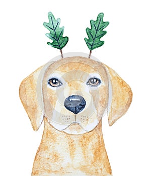 Watercolour illustration of beautiful Labrador dog wearing oak leaf horn headband.