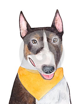 Watercolour illustration of cheerful Bull Terier dog wearing modern bandana in mustard color.