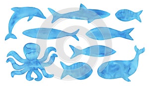 Watercolour illustration collection of various ocean and water animals: octopus, dolphin, whale, shark, different fishes.