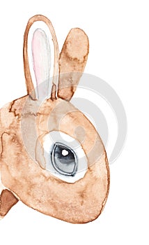 Watercolour illustration of cute little bunny with long ears.