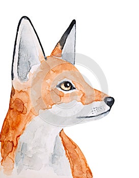 Watercolour illustration of cute little fox with artistic brushstrokes.