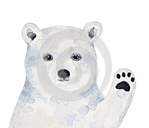 Watercolour illustration of cute little polar bear cub with waving hand saying hello.