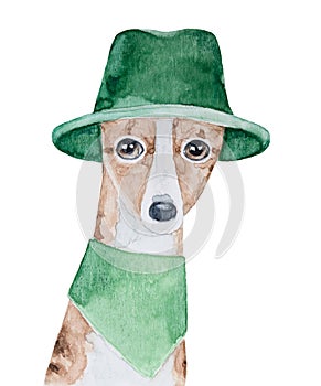 Watercolour illustration of cute lottle whippet dog wearing green traveler hat and cotton bandana.