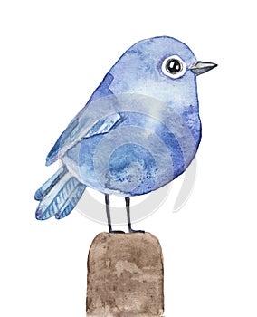 Watercolour illustration of small blue bird standing on wooden stick.