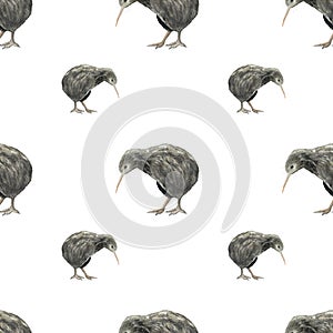 Watercolour kiwi bird seamless pattern. Hand drawn illustration isolated on white