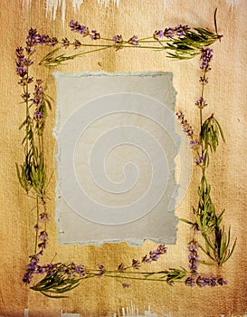 Watercolour lavender frame