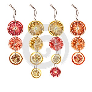 Watercolour New Year elements. Christmas treats like suspensions of isolated dried oranges