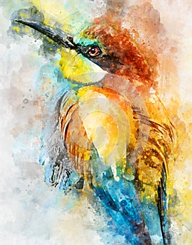 Watercolour painting of exotic Bee-eater bird