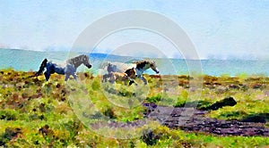 Watercolour painting. Ponies with a foal running on moors.