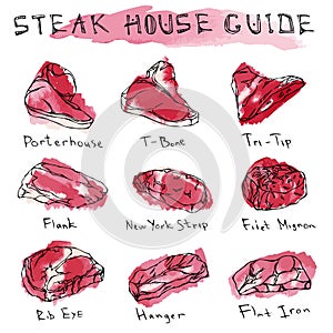 Watercolour Popular Steak Types Set. Beef Cuts. Meat Guide for Butcher Shop or Steak House Restaurant Menu. Hand Drawn