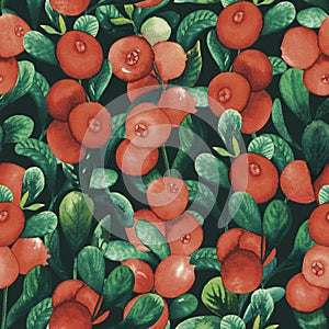 Watercolour seamless cranberry cowberry pattern with berries and leaves hand drawn illustration isolated on black. red