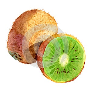 Watercolour vectorised kiwi illustration. Hand drawn kiwi slice. Fresh ripe kiwi fruit. Bright and fresh illustration photo