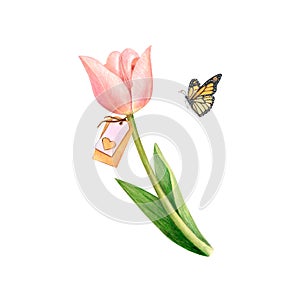 Watercolour white tulip in full blossom with a heart tag and a flying butterfly. Tender expertly made isolated flower on