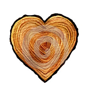 Watercolour wooden Heart isolated on white background. Watercolor heart wood slice illustration.