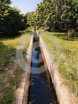 Watercourse lined-watercourse irrigation irrigation-course open irrigation-channel cours deau corriente agua curso-agua photo photo