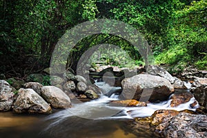 Watercourse of rocks in tropical woods