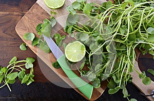 Watercress salad ingredient.