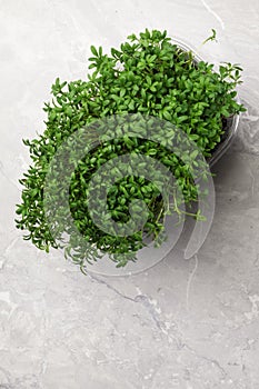 watercress salad microgreen raw sprouts