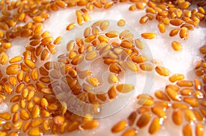 Watercress - seeds photo