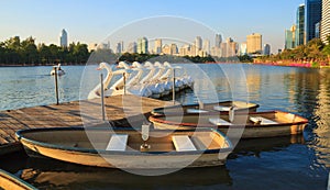 Watercycle boat in the park